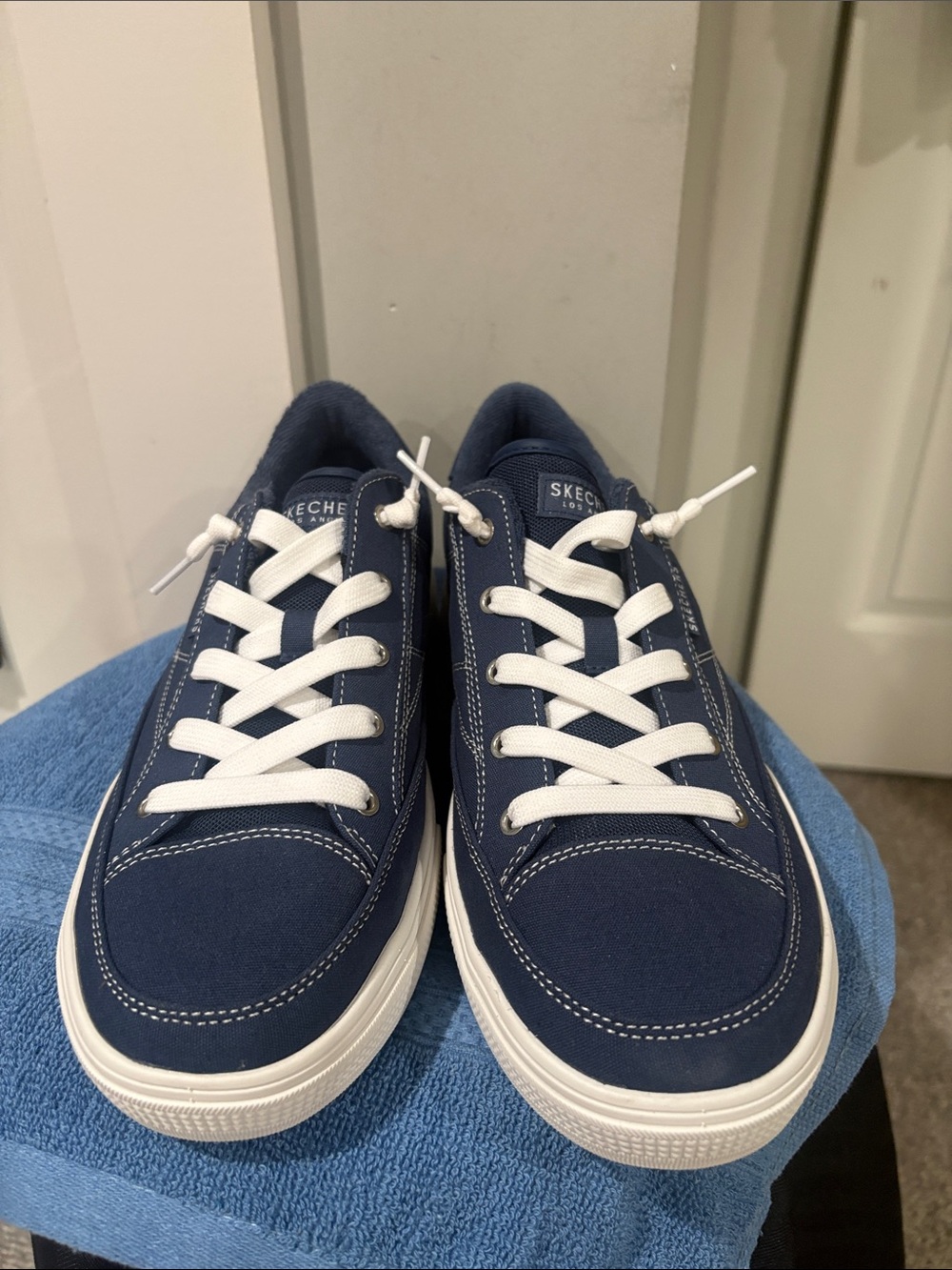 Skechers Navy Canvas Low-Top Sneakers with White Laces